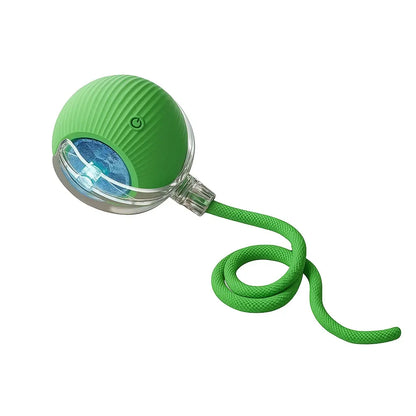 Interactive Cat & Dog Teaser Toy 