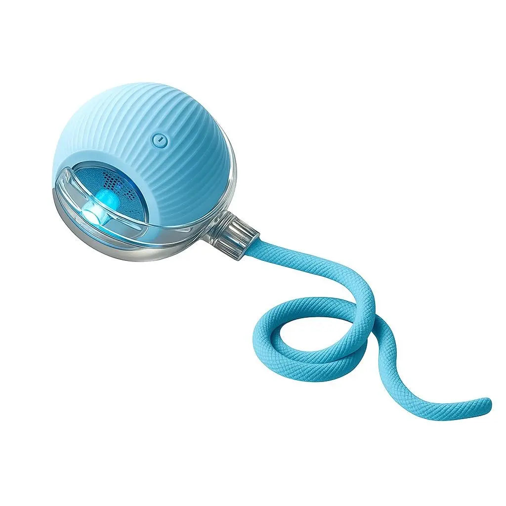 Interactive Cat & Dog Teaser Toy 