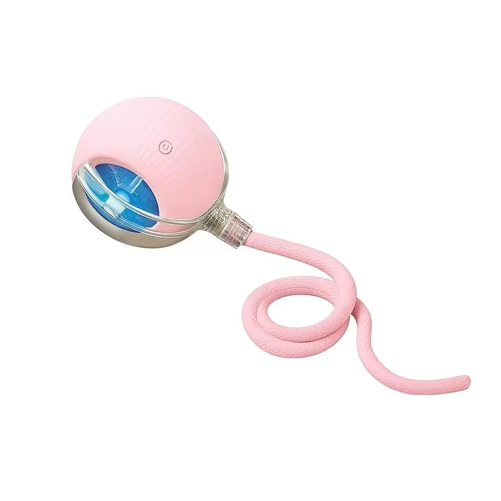 Interactive Cat & Dog Teaser Toy 