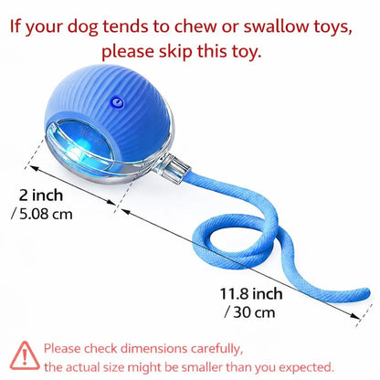 Interactive Cat & Dog Teaser Toy 