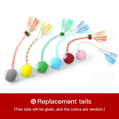 Interactive Cat & Dog Teaser Toy 