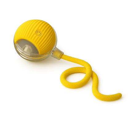 Interactive Cat & Dog Teaser Toy 