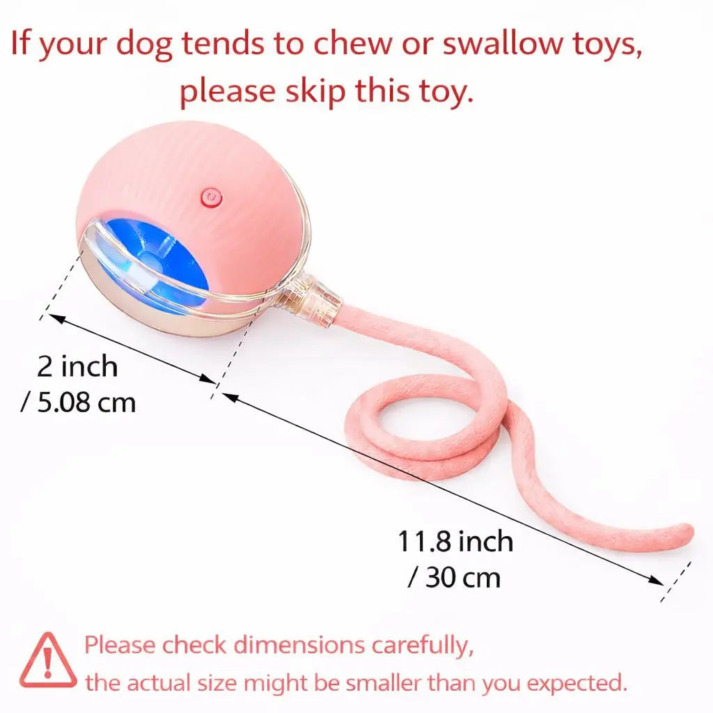 Interactive Cat & Dog Teaser Toy 