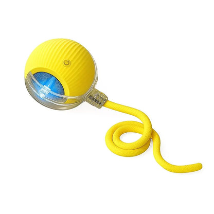 Interactive Cat & Dog Teaser Toy 